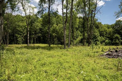 13 Lake Island Drive Belington WV 26250