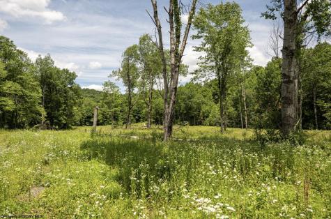 13 Lake Island Drive Belington WV 26250