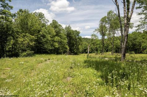 13 Lake Island Drive Belington WV 26250