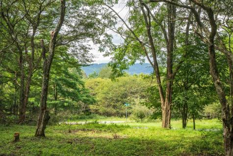 7 Roaring Plains Drive Dryfork WV 26263