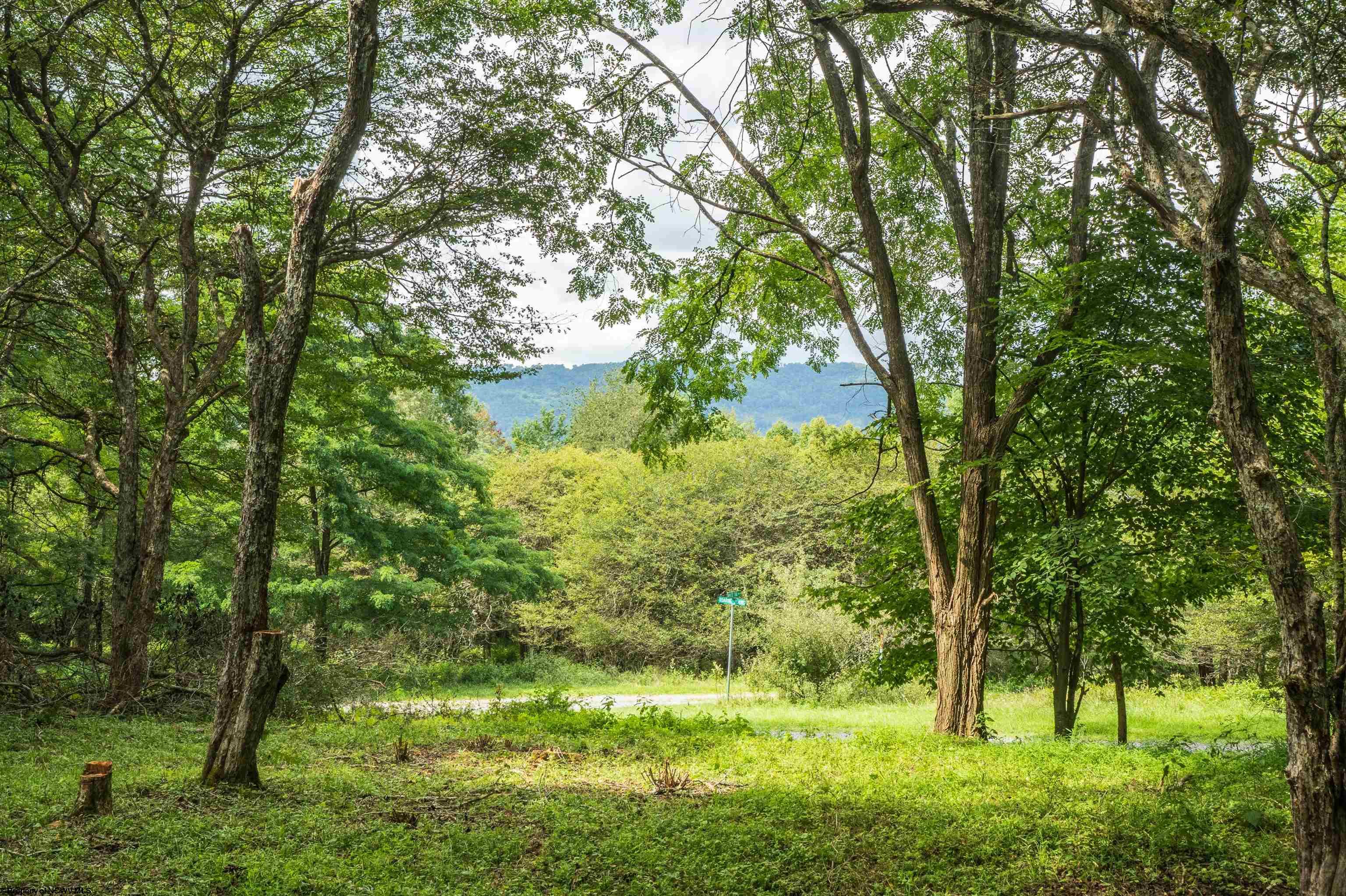 7 Roaring Plains Drive Dryfork WV 26263