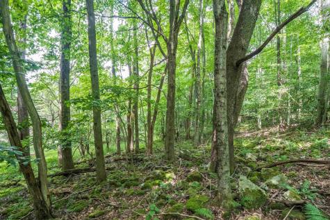 7 Roaring Plains Drive Dryfork WV 26263