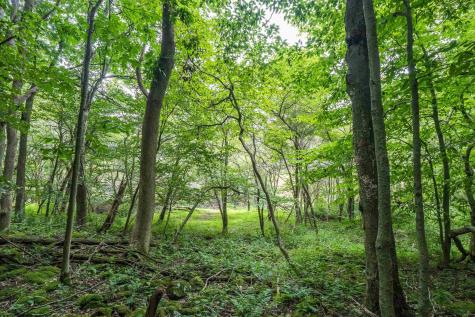 7 Roaring Plains Drive Dryfork WV 26263