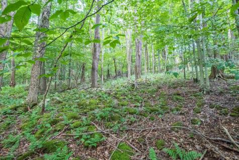 7 Roaring Plains Drive Dryfork WV 26263