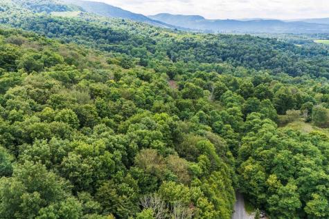 7 Roaring Plains Drive Dryfork WV 26263