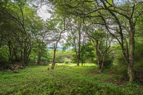 7 Roaring Plains Drive Dryfork WV 26263
