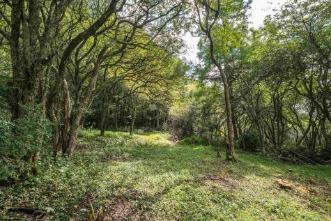 7 Roaring Plains Drive Dryfork WV 26263