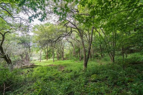 7 Roaring Plains Drive Dryfork WV 26263