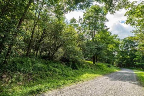 7 Roaring Plains Drive Dryfork WV 26263