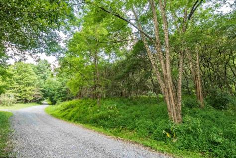 7 Roaring Plains Drive Dryfork WV 26263