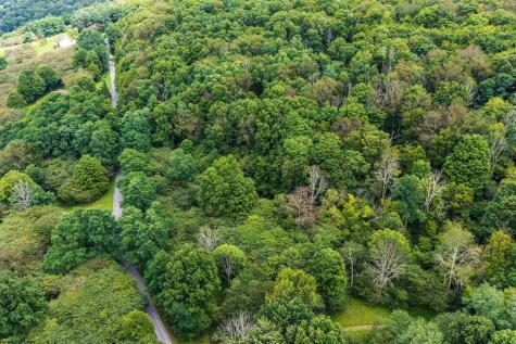 7 Roaring Plains Drive Dryfork WV 26263