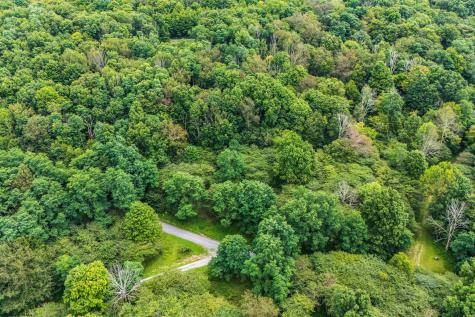 7 Roaring Plains Drive Dryfork WV 26263