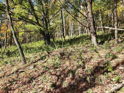 22 E Meadows Road Harman WV 26270