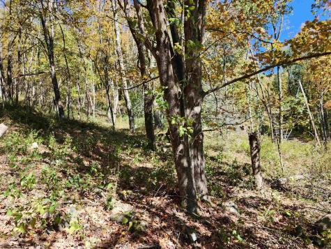 22 E Meadows Road Harman WV 26270