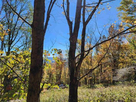 22 E Meadows Road Harman WV 26270