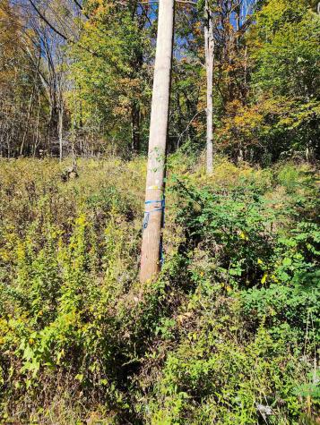 22 E Meadows Road Harman WV 26270