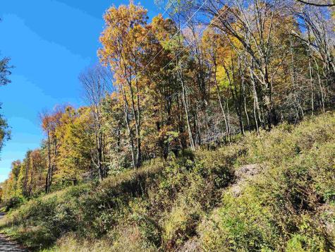 22 E Meadows Road Harman WV 26270