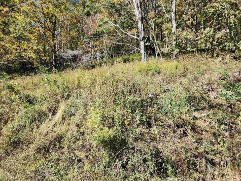 22 E Meadows Road Harman WV 26270