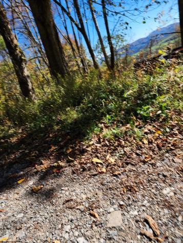 22 E Meadows Road Harman WV 26270