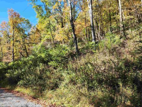 22 E Meadows Road Harman WV 26270