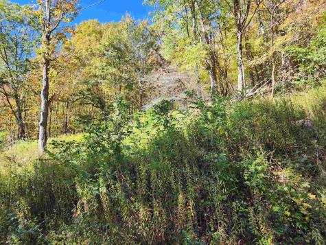 22 E Meadows Road Harman WV 26270