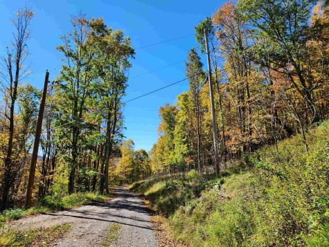 22 E Meadows Road Harman WV 26270