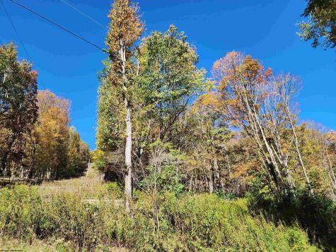 22 E Meadows Road Harman WV 26270