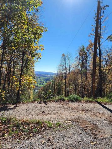 22 E Meadows Road Harman WV 26270