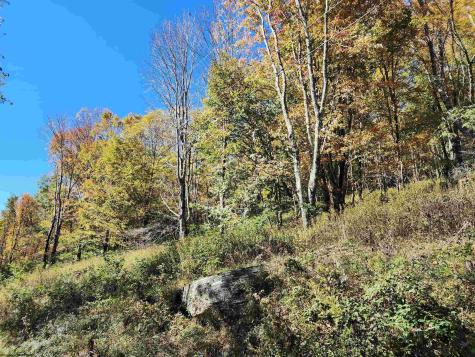 22 E Meadows Road Harman WV 26270