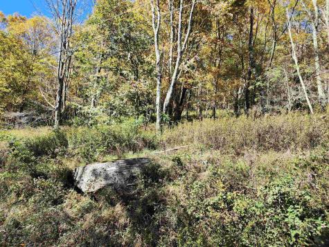 22 E Meadows Road Harman WV 26270