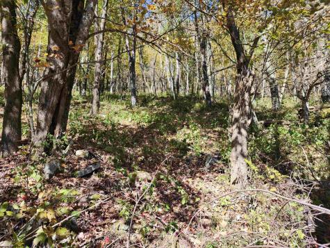 22 E Meadows Road Harman WV 26270