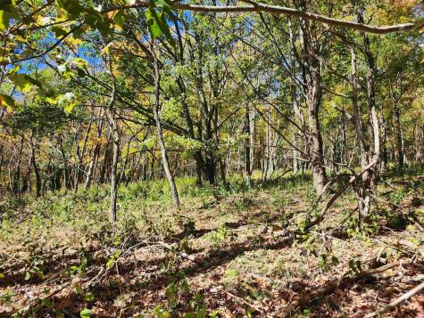 22 E Meadows Road Harman WV 26270