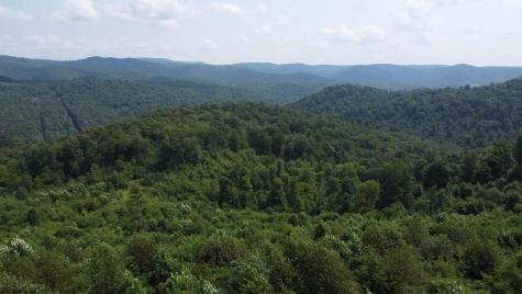 0 Birch Hill Road Terra Alta WV 26764