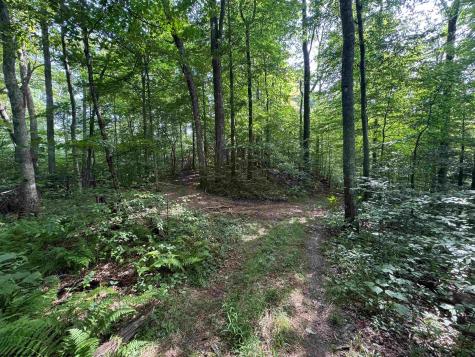 0 Laurel Run Road Montrose WV 26283