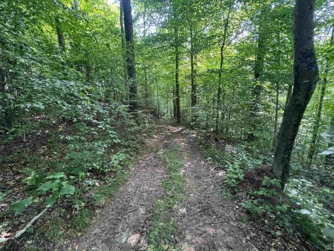 0 Laurel Run Road Montrose WV 26283