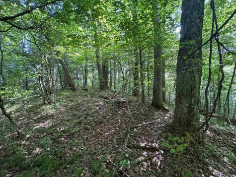 0 Laurel Run Road Montrose WV 26283