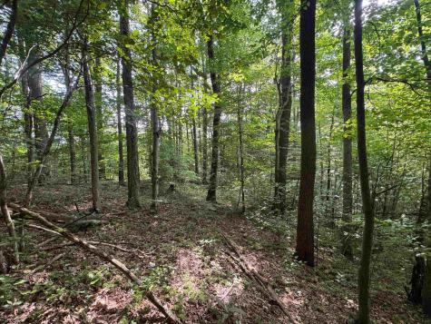 0 Laurel Run Road Montrose WV 26283