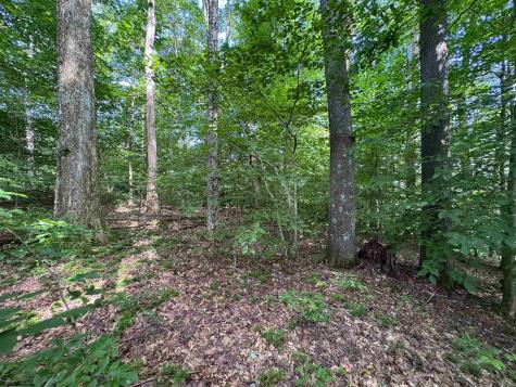 0 Laurel Run Road Montrose WV 26283