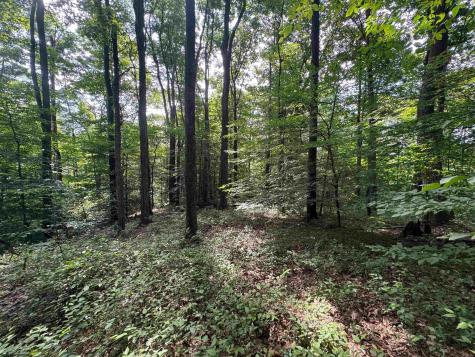 0 Laurel Run Road Montrose WV 26283