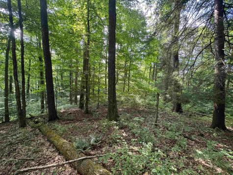 0 Laurel Run Road Montrose WV 26283