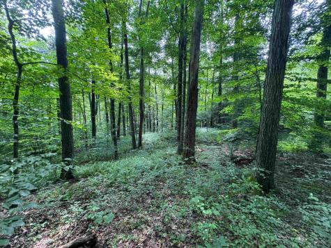 0 Laurel Run Road Montrose WV 26283