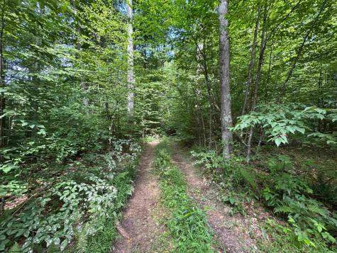 0 Laurel Run Road Montrose WV 26283