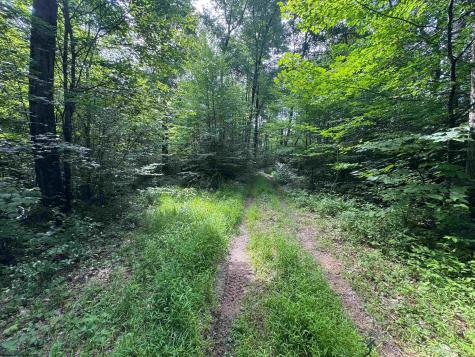 0 Laurel Run Road Montrose WV 26283