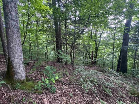 0 Laurel Run Road Montrose WV 26283