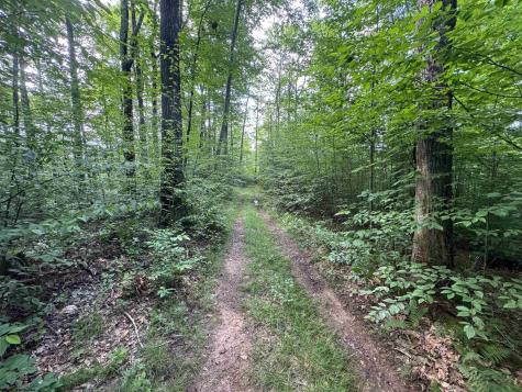 0 Laurel Run Road Montrose WV 26283