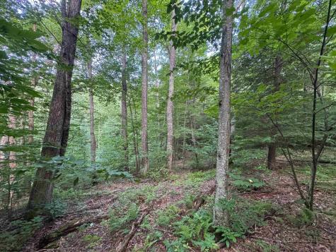 0 Laurel Run Road Montrose WV 26283