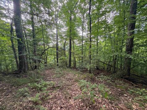 0 Laurel Run Road Montrose WV 26283