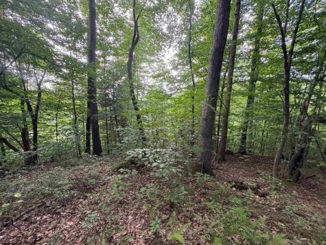 0 Laurel Run Road Montrose WV 26283