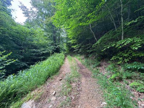 0 Laurel Run Road Montrose WV 26283