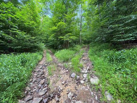 0 Laurel Run Road Montrose WV 26283